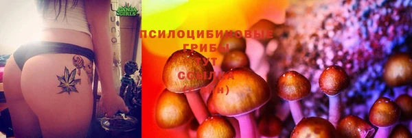 прущие крисы Елабуга