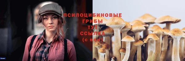героин Ельня