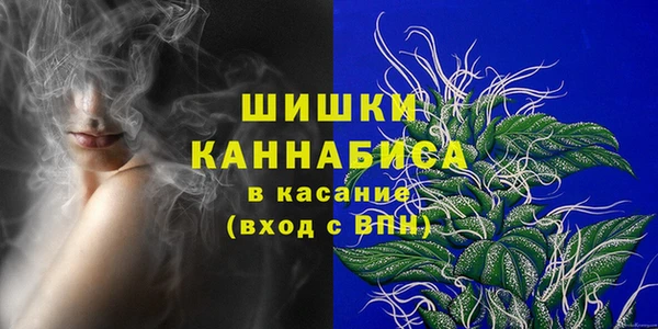 мдпв Елизово
