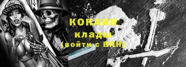 мдпв Елизово