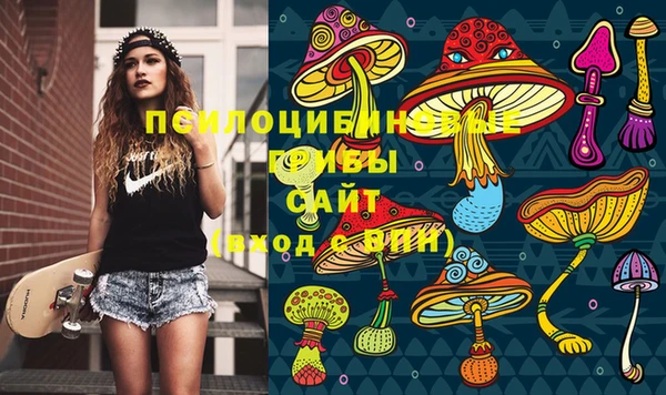 мдпв Елизово