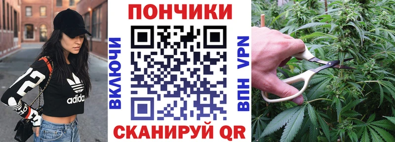 Шишки марихуана сатива Советский